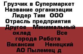 Грузчик в Супермаркет › Название организации ­ Лидер Тим, ООО › Отрасль предприятия ­ Другое › Минимальный оклад ­ 19 000 - Все города Работа » Вакансии   . Ненецкий АО,Пылемец д.